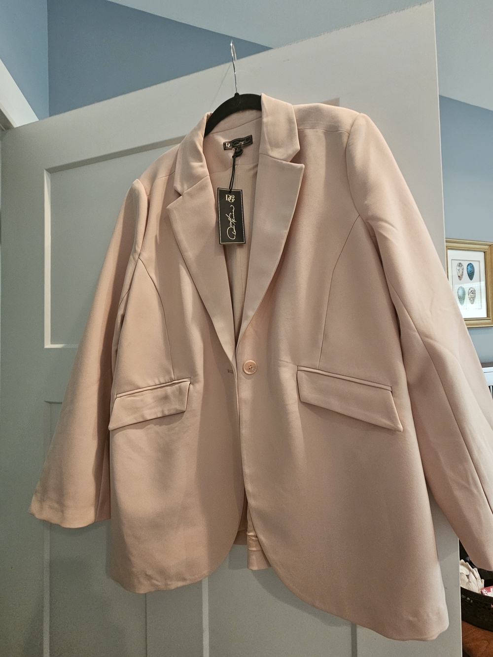 DG2 by Diane Gilman Soft Blush Pink Single-Button Blazer